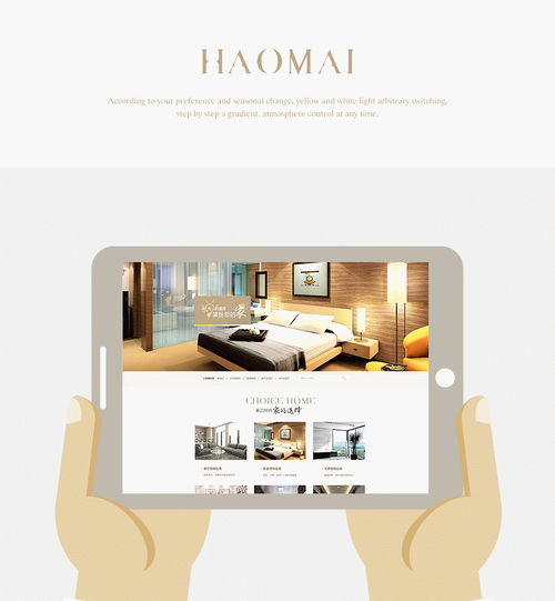 探索企業(yè)官網(wǎng)與設(shè)計(jì)平臺(tái) 數(shù)碼產(chǎn)品銷售的新視角——以zcool平臺(tái)用戶ll3050532為例