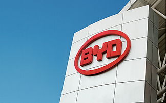 南隼互動(dòng) 深圳網(wǎng)站設(shè)計(jì)與建設(shè)專家，賦能企業(yè)數(shù)字化品牌與電子產(chǎn)品營銷